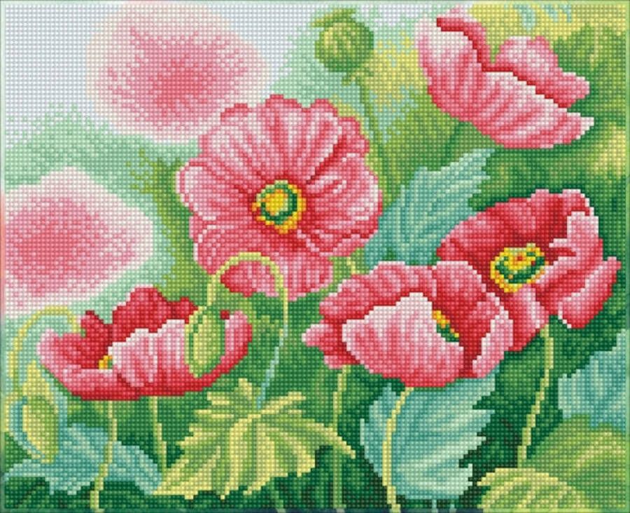 DIAMOND DOTZ DQ8.024 Hobby Pakket Diamond painting volwassenen Roze klaprozen in waterverf 30 x 37cm Vierkante steentjes Diamond painting pakket volledig