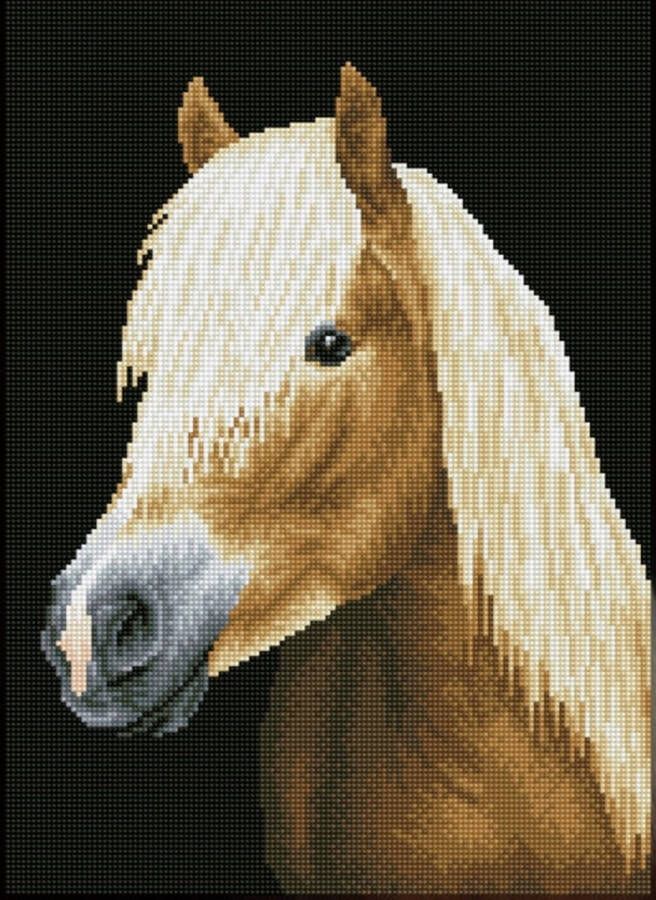 DIAMOND DOTZ Full Diamond Painting Volwassenen Met Lijst Frame Hobby Volledig Pakket Vierkante Steentjes DQK9.005 Chester het paard 47 x 34cm