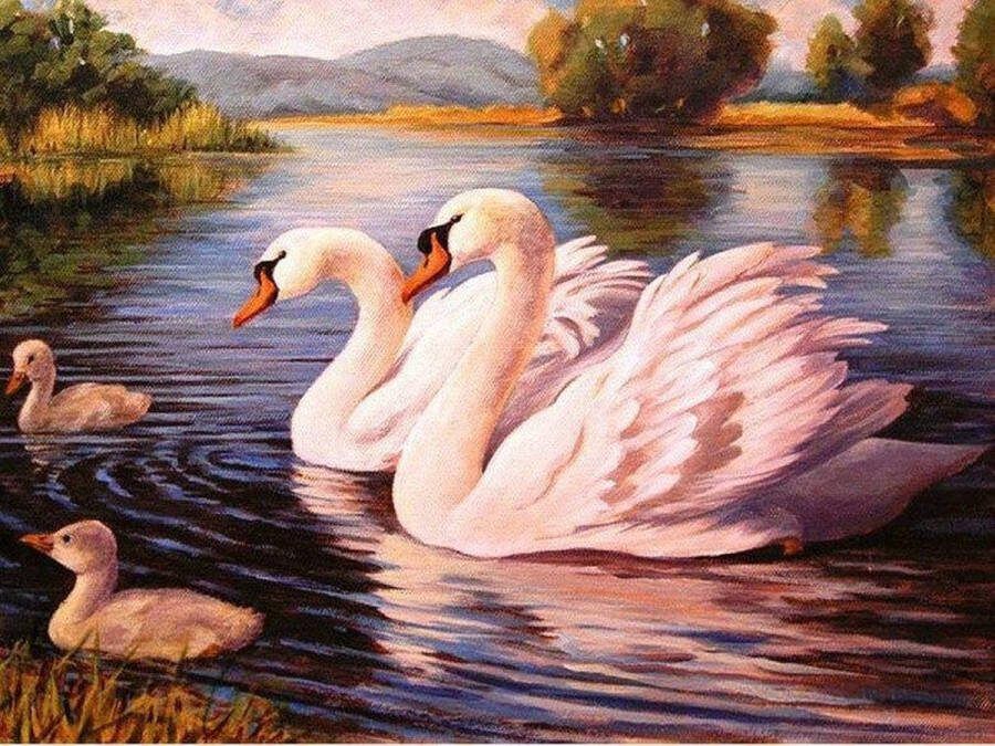 DiamondPaintingTotaal Diamond Painting Volwassenen Zwanen met kleintjes 60x40 cm Hobbypakket Vierkante steentjes Volledige te bedekken