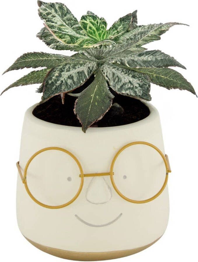 Dijk Natural Collections Bloempot plantenpot gezicht met brilletje goud voor kamerplant D13 x H10 cm