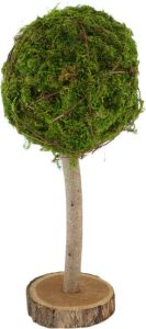 Dijk Natural Collections -decoratieve Mos Boom Op Voet-naturel-20x50