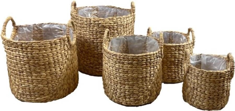 Dijk Natural Collections DKNC Plantenbak Sirte Waterhyacint 38x38x36cm Bruin
