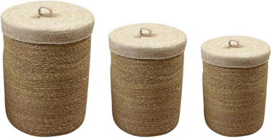 Dijk Natural Collections DKNC Mand zeegras met deksel 38x48cm Set van 3 Natuurlijk