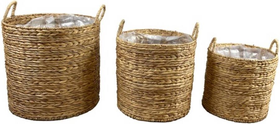 Dijk Natural Collections DKNC Manden waterhyacint met plastic 58x56cm Set van 3 Natuurlijk