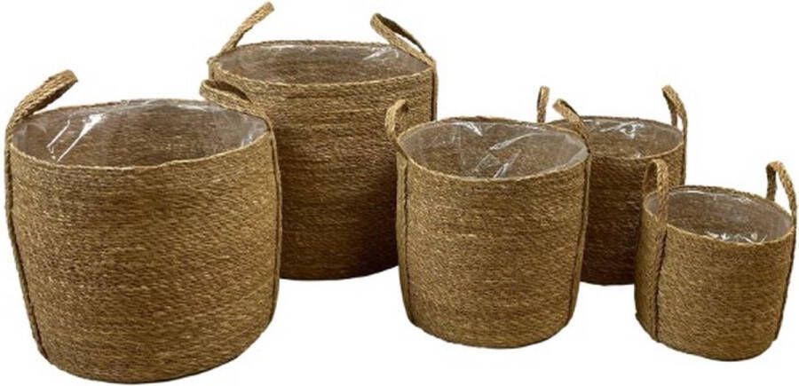 Dijk Natural Collections DKNC Manden zeegras met plastic 38x36cm Set van 5 Natuurlijk