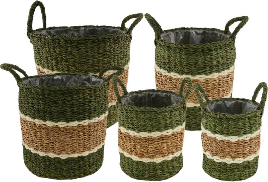 Dijk Natural Collections DKNC Plantenbak Bogota Zeegras 38x38x36cm Groen