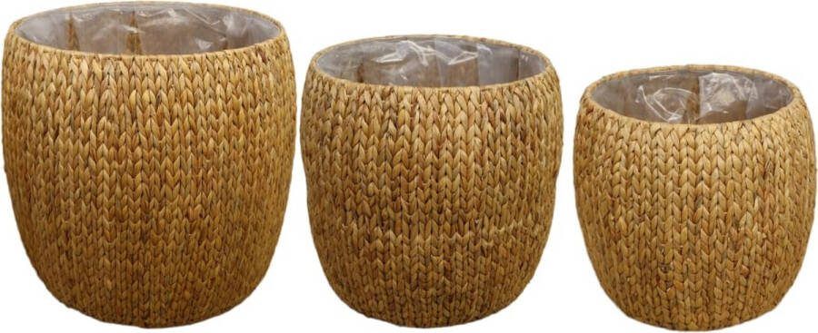 Dijk Natural Collections DKNC- Plantenbak Evesham Waterhyacint 58x58x54cm Bruin