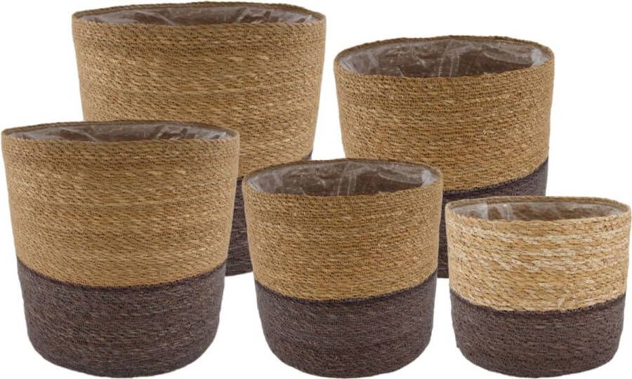 Dijk Natural Collections DKNC Plantenbak Teruel Zeegras 38x38x36cm Bruin