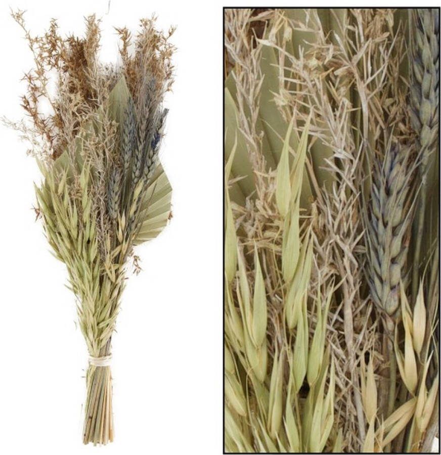 Dijk Natural Collections Klein droogboeket naturel 38 cm