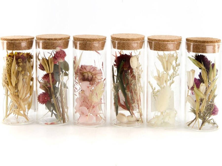 Dijk Natural Collections Pot glas met droogbloemen Ø5x12.5cm (1 stuk) assorti