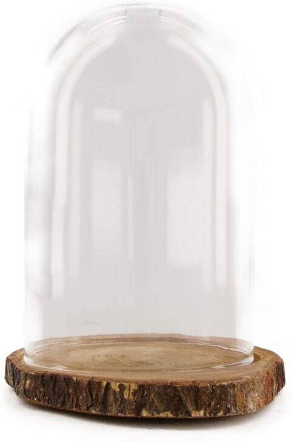 Dijk Natural Collections stolp glas houten bruin plateau D18 x H26 cm Decoratieve stolpen
