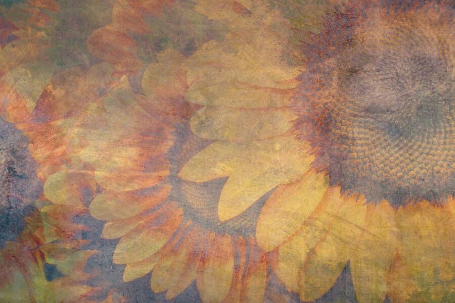 Yourdecoration Dimex Sunflower Abstract Fotobehang 375x250cm 5-banen