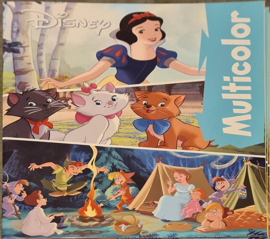 Disney Assepoester Multicolor kleurboek 32 Pagina