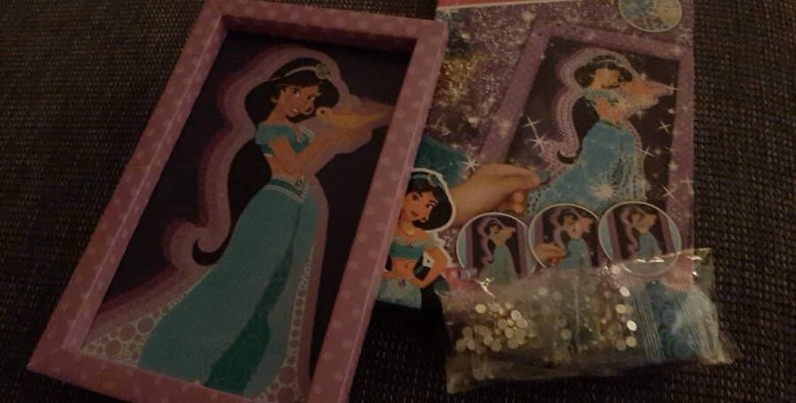 Disney Diamond en pailletten painting prinses