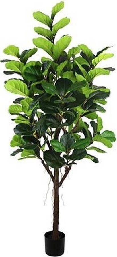 Warentuin Ficus Lyrata 210 cm kunstplant Buitengewoon de Boet