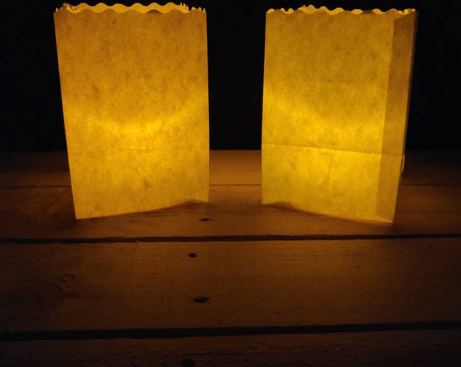Merkloos Sans marque 10 x Candle Bag Blanco Midi formaat | binnen & buiten | windlicht papieren kaars houder lichtzak candlebag candlebags sfeerlicht