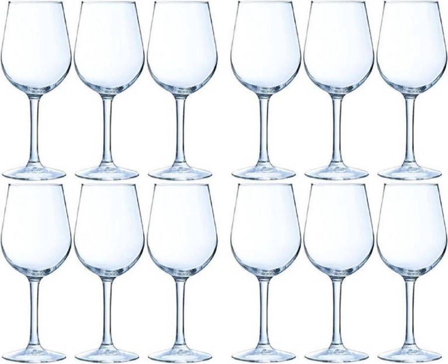 Merkloos Sans marque 12x Luxe wijnglazen voor witte wijn 270 ml 27 cl Witte wijn en rose glazen Wijn drinken Wijnglazen van glas