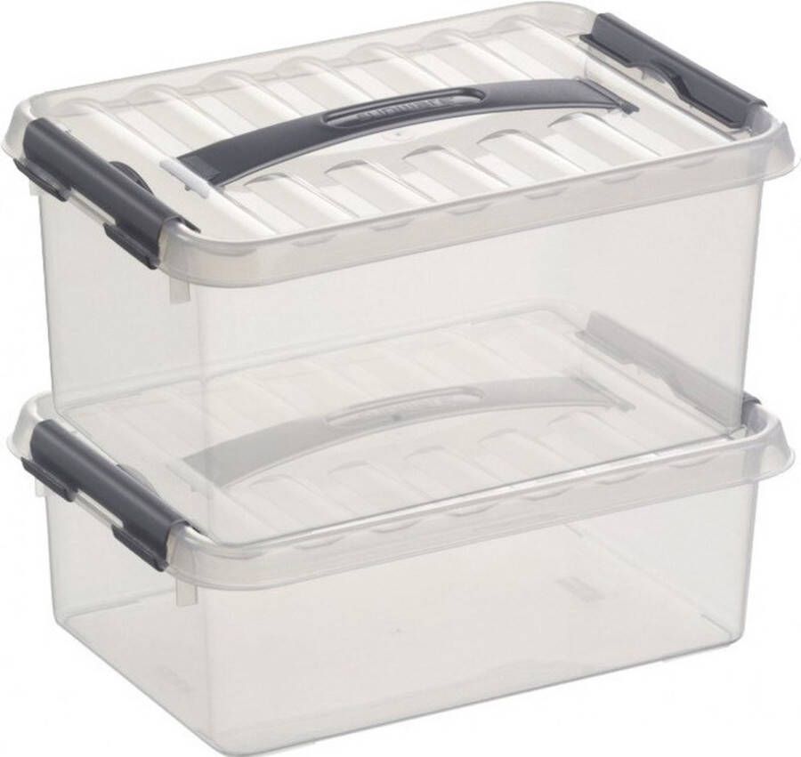 Merkloos Sans marque 2x Stapelbare opberg boxen opbergdozen set 4 en 6 liter 30 cm kunststof Opslagbox Opbergbak kunststof transparant zilver