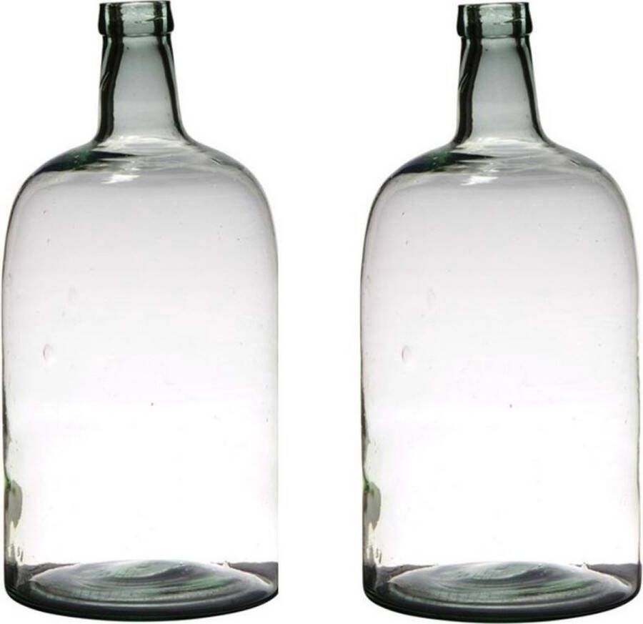 Merkloos Sans marque 2x stuks transparante luxe stijlvolle flessen vaas vazen van glas 40 x 19 cm Bloemen takken vaas voor binnen gebruik