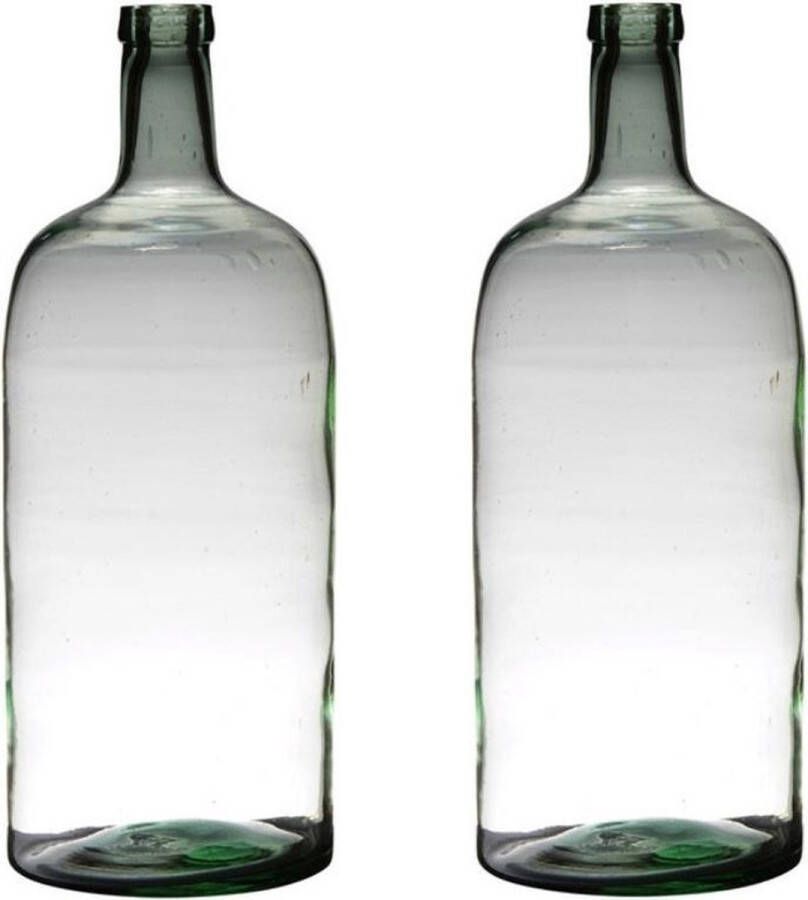 Merkloos Sans marque 2x stuks transparante luxe stijlvolle flessen vaas vazen van glas 50 x 19 cm Bloemen takken vaas voor binnen gebruik