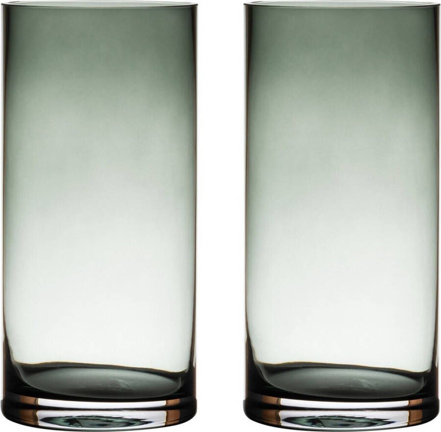 Merkloos Sans marque 2x Transparant grijze home-basics Cylinder vaas vazen van glas 25 x 12 cm Bloemen boeketten binnen gebruik