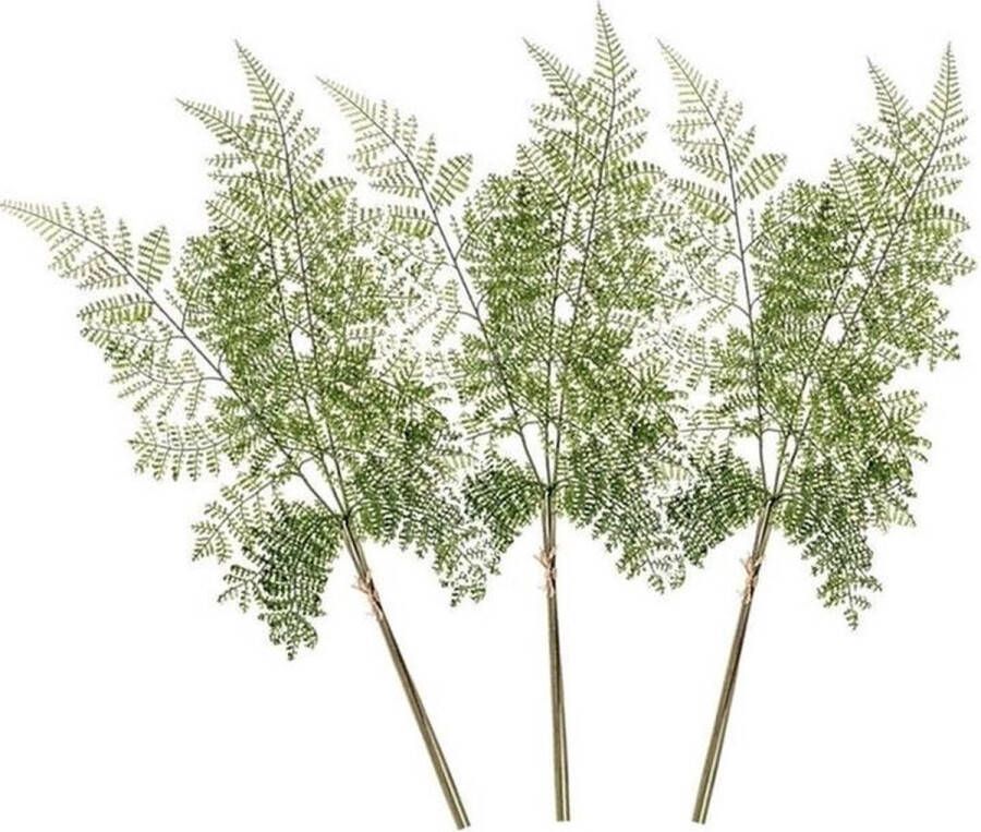 Merkloos Sans marque 3x Kunstplanten bosvaren takken 58 cm groen 3x Kunsttakken bosvaren