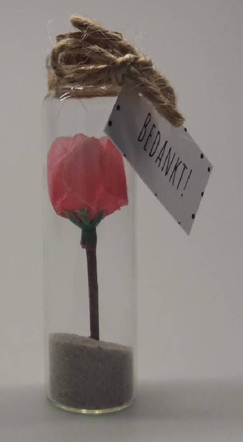 Merkloos Sans marque Bedankt! Dit lieve bloemetje wat voor altijd bewaard kan blijven in een miniglaasje circa 6 cm hoog is een bijzonder cadeautje voor elke gelegenheid. Een speciaal geschenk wat het hele jaar door gegeven kan worden.