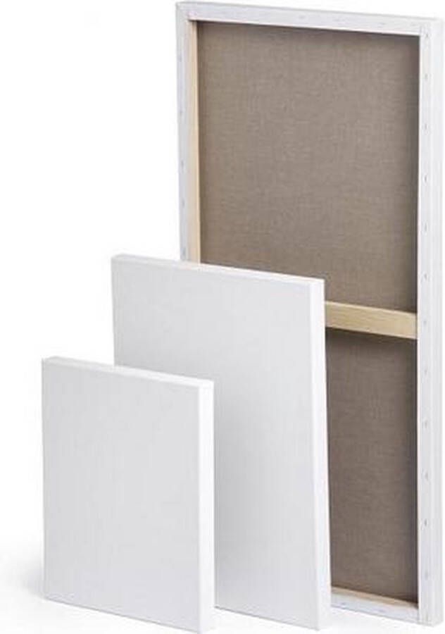 Merkloos Sans marque CO Professional Canvas 70x100 Schildersdoek 6 stuks