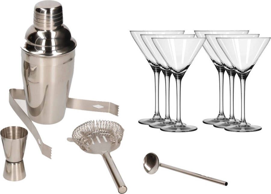 Merkloos Sans marque Cocktailshaker set RVS 5-delig inclusief 6x luxe cocktail martini glazen 260 ml 26cl Zelf cocktails maken