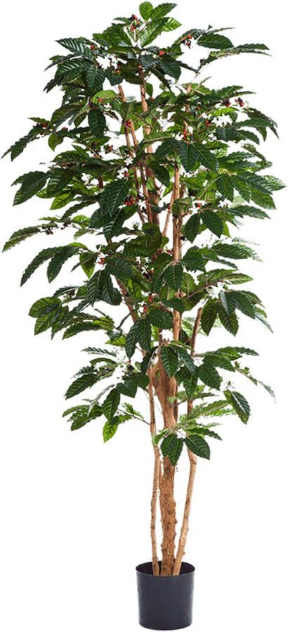 Plantenwinkel.nl Plantenwinkel Kunstplant Coffea arabica XL