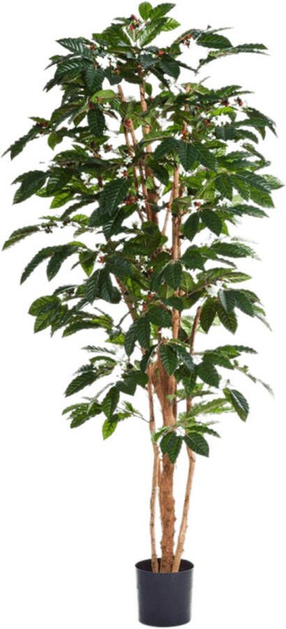 Plantenwinkel.nl Plantenwinkel Kunstplant Coffea arabica XL