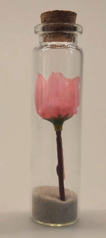 Merkloos Sans marque Dit lieve bloemetje wat voor altijd bewaard kan blijven. In een miniglaasje circa 8 cm hoog. Een speciaal geschenk wat het hele jaar door gegeven kan worden. Een roze kunstbloemetje in een glazen flesje met op de bodem een laagje zand.