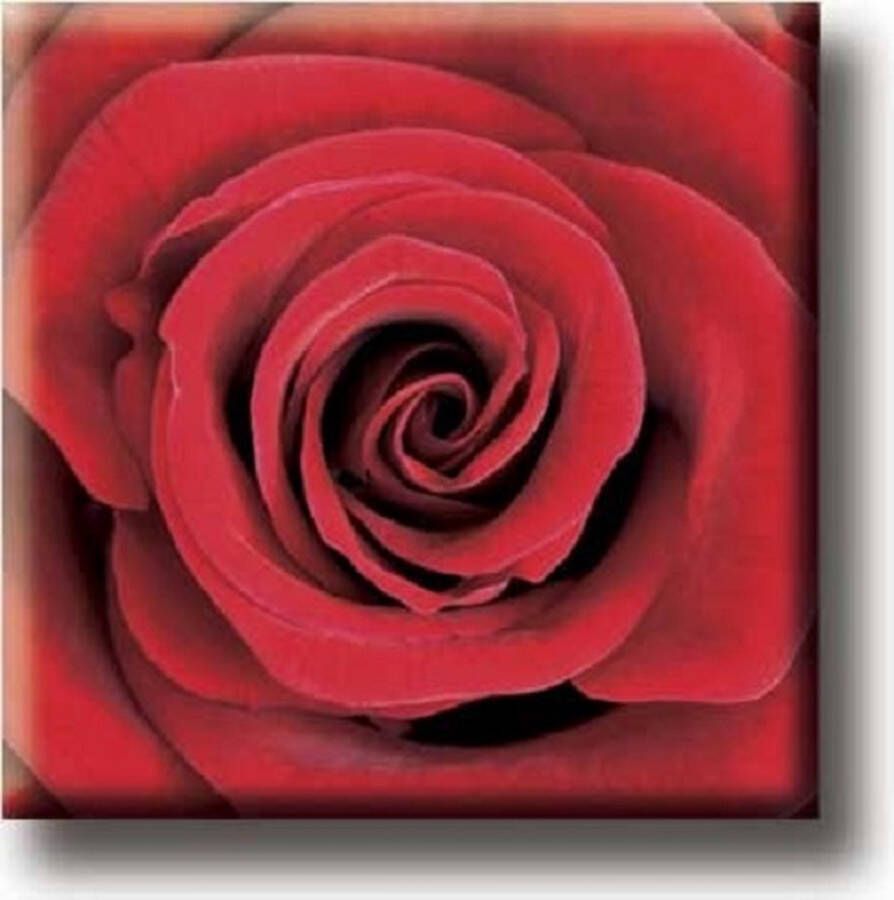 Merkloos Sans marque Een leuke koelkastmagneet! De afbeelding van de magneet is een bijzondere rode roos. Dit artikel kan bij veel gelegenheden gegeven worden. Voor uzelf of Bestel Een Kado.