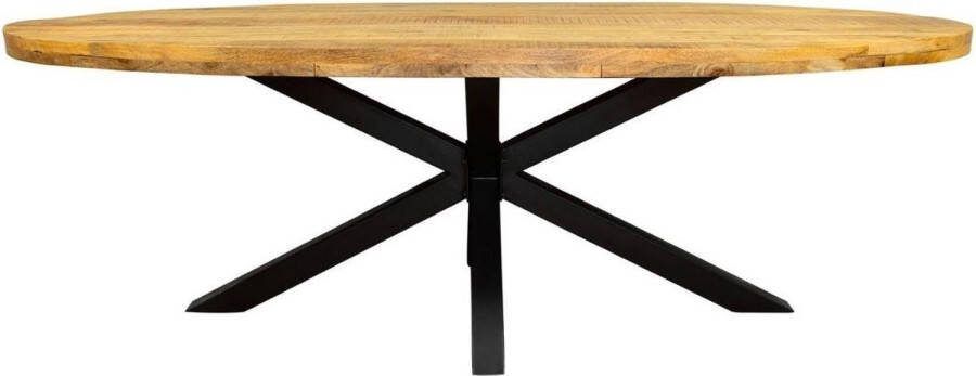 Merkloos Sans marque Eetkamertafel Denver | Ovaal | Mangohout | 300 cm