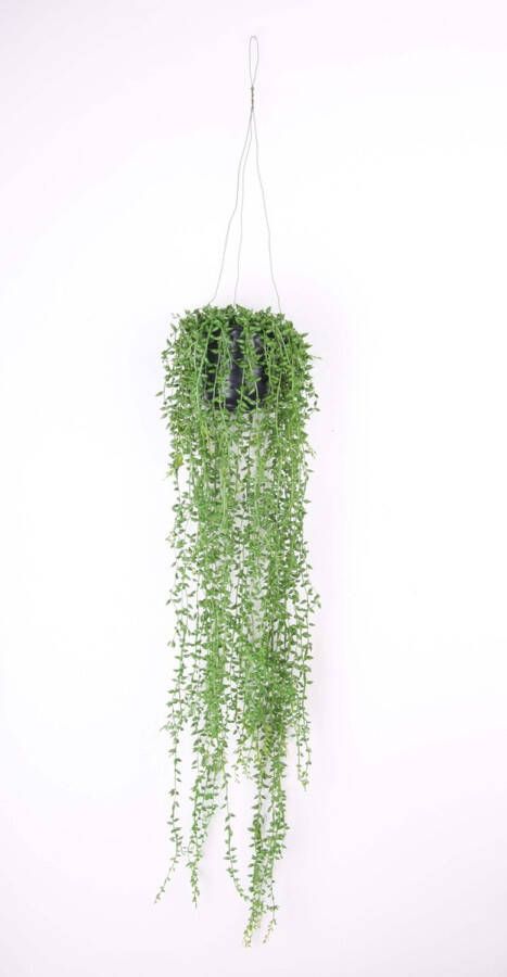 Merkloos Groene Senecio erwtenplant kunstplant 70 cm in hangende pot Kunstplanten nepplanten