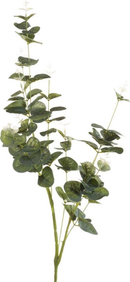 Merkloos Sans marque CozyIbiza-Eucalyptus Tak kunsttak Set van 3 stuks