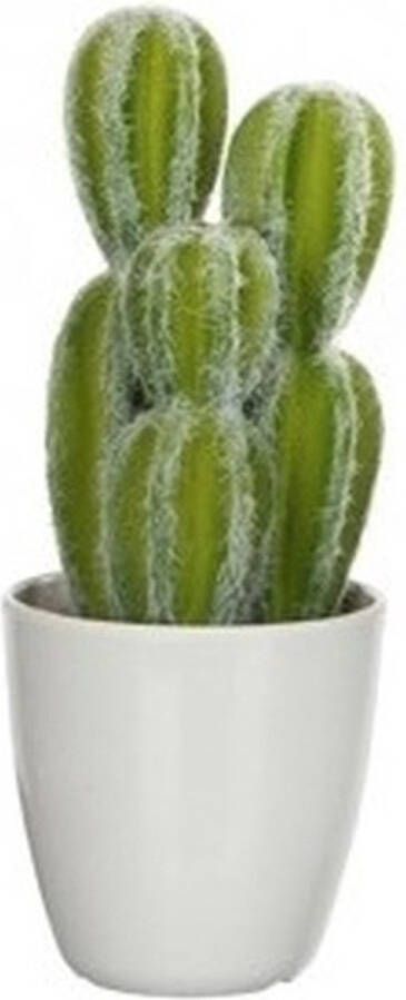 Merkloos Sans marque Groene Euphorbia cowboycactus kunstplant 28 cm in witte plastic pot Kunstplanten nepplanten