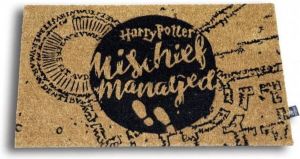 Harry Potter Mischief Managed Doormat