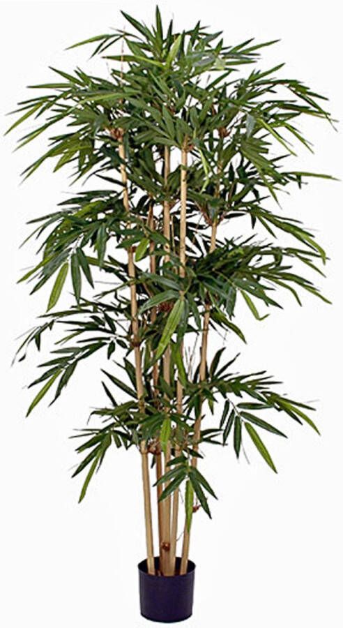 Merkloos Sans marque Kunstplant Bamboe Groen H 180cm Kunststof pot Mica Decorations