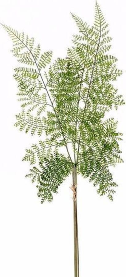 Merkloos Groene bosvaren kunsttak 58 cm Kunstbloemen