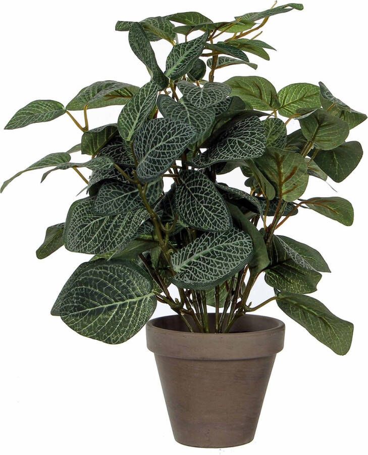 Merkloos Sans marque Kunstplant Pilea Groen H 35cm Keramiek sierpot Mica Decorations