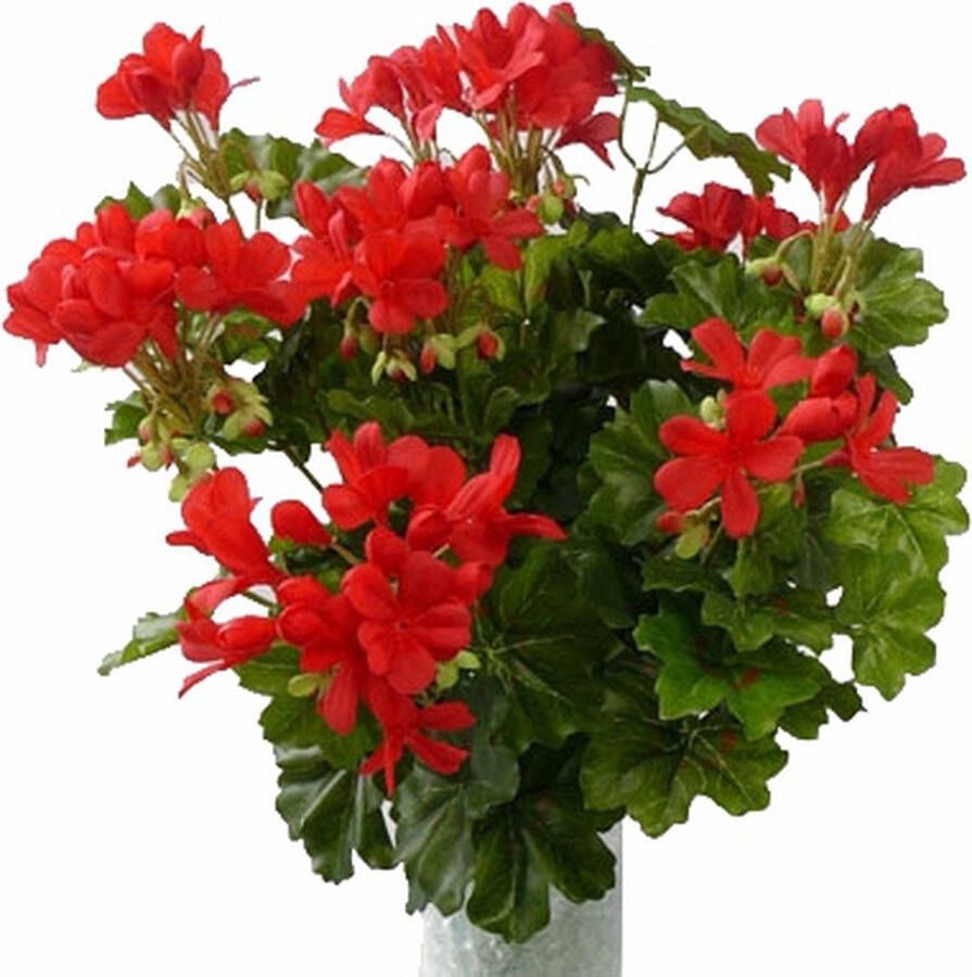 Merkloos Sans marque Kunstplanten Oostenrijkse Geranium rood 40 cm Kunstplanten met bloemen