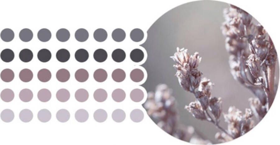 Merkloos Sans marque Lavendel Stippen Washi Tape Stickers | Leuke To Do Dots | Bullet Points | Paars Grijs Roze | Takenlijstjes Maken | Organizing | Organiseren| Taken lijst Maken | Planning | Planner Maken | Plannen | Bullet Journal | Journalling | Masking Tape