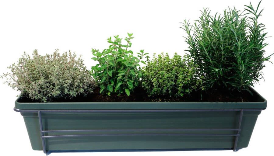 Merkloos Sans marque Mix van kruiden in ELHO Green Basics balkonbak (Bladgroen) met metalen balkonrek Mini-Green Tuinplanten- Hoogte 30 cm