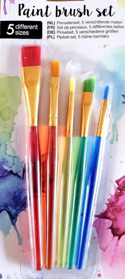 Paint brush set penselenset 5 verschillende maten verfkwastjes schilderen aquarel