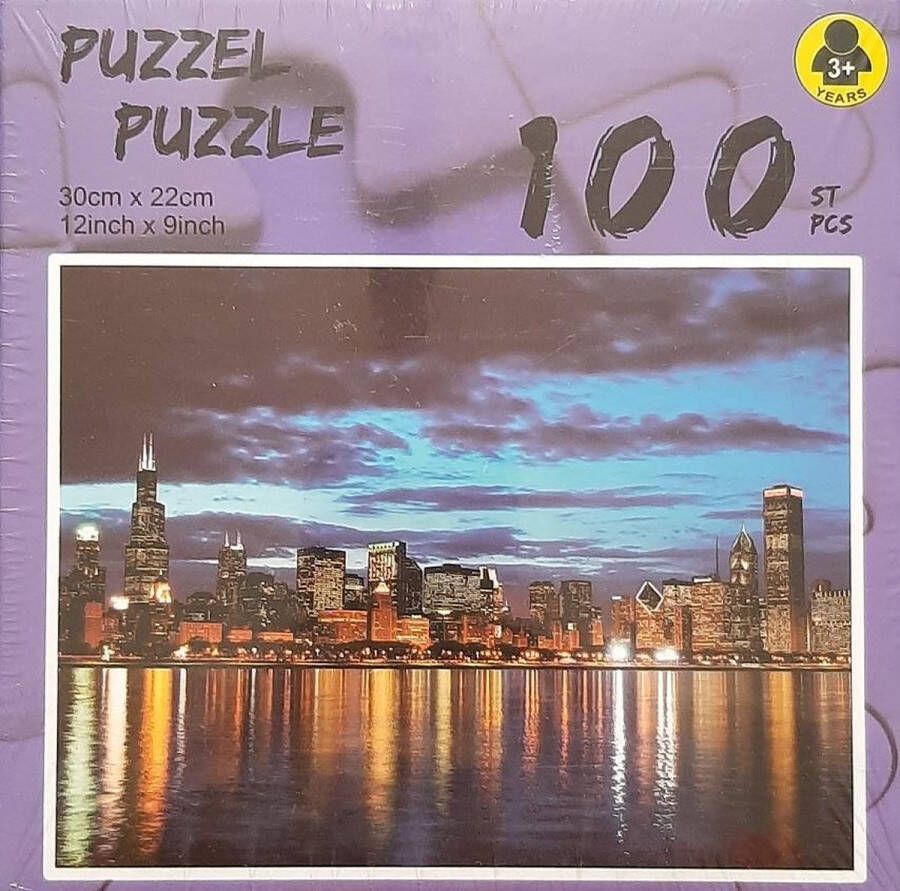 Puzzel Skyline Big City 100 stukjes