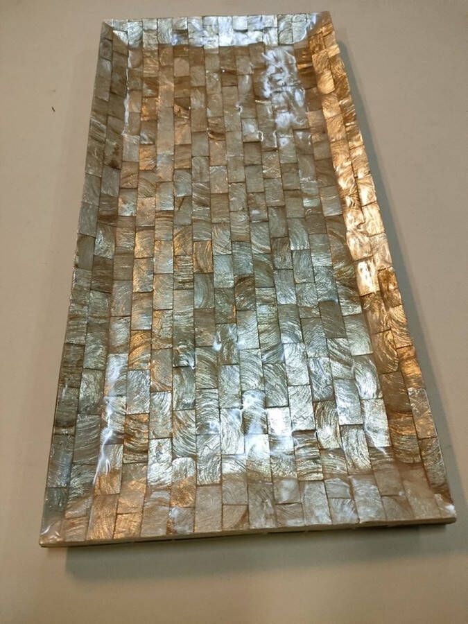 Schaal schelp tray schelpen Capiz dienblad serveerschaal decoratie schaal
