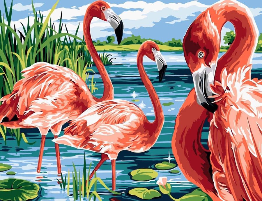 Merkloos Sans marque Schilderen op Nummer Flamingo's Painting by Numbers 50x40 cm Complete Set