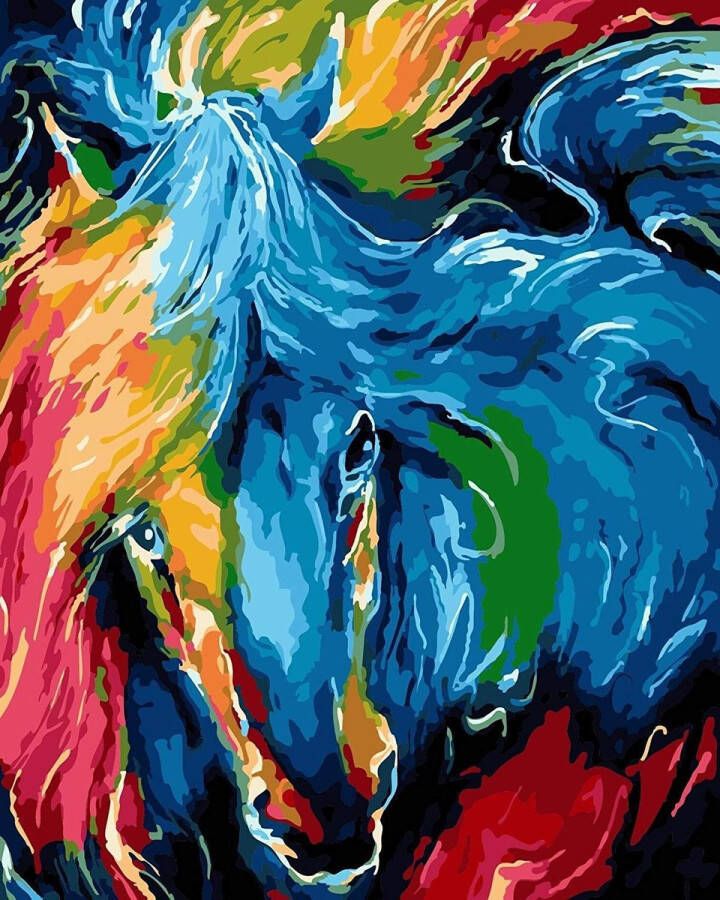 Merkloos Sans marque Schilderen op nummer volwassenen Paint by number Abstract paard Horse 50x40 cm