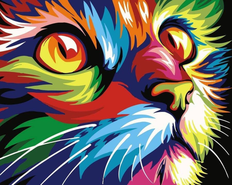 Merkloos Sans marque Schilderenopnummers.com Schilderen op nummer volwassenen Colourful Cat 50x40 cm Paint by numbers